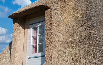 Tolborough thatch roof disadvantages